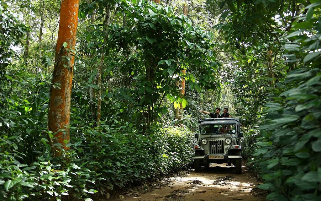 Peppervine Hotel Thekkady Eksteriør billede